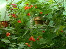 DSCN3808