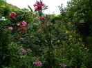 DSCN3812