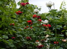 DSCN3815