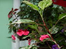 DSCN3837