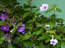 DSCN3852