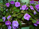 DSCN3857