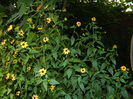 DSCN3875