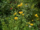 DSCN3878