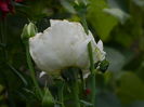 DSCN3880