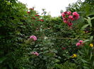 DSCN3883