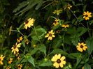 DSCN3896