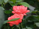 DSCN3898