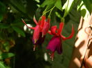 DSCN3946