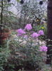 DSC02652