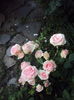 DSC02846