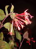 DSCN2467