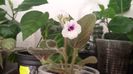 20150807_080607