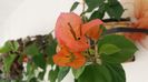 20150806_093816