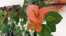20150806_093801