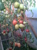 Imag015
