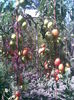 Imag016