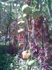 Imag018
