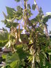 Imag036