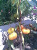 Imag041