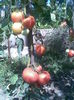 Imag045