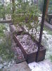 Imag004