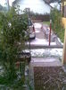 Imag006