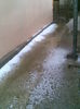 Imag010