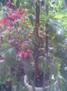 Imag007