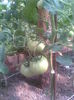 Imag010