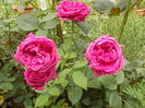 DSCN2314