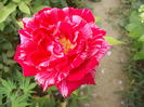 DSCN2321