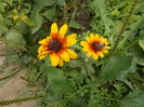 DSCN2322
