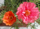 DSCN2362