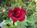 DSCN2378