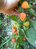 DSCN0192