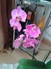 20150807_111912