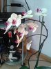 20150807_112455