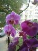 20150807_130507