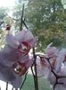 20150807_130519