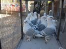IMG_0511
