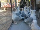 IMG_0508