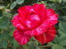 DSCN5628