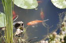 _DSC0660