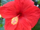 SAM_8458
