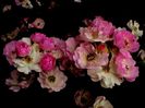 Soapte de parfum (458)