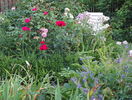 8 aug 098