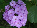 8 aug 059