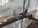 DSCN0395