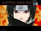 sasuke_sesshoumaru4me[1]